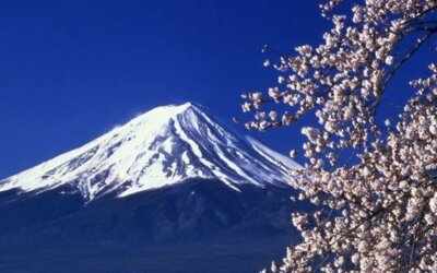 Andare in Giappone per la fioritura dei ciliegi