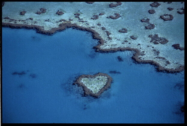 Grande Barriera Corallina Australia - Heart Reeef