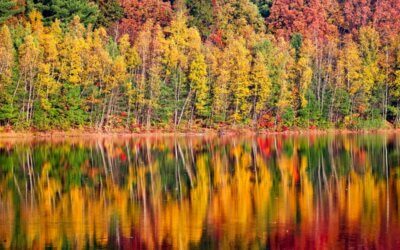 Fall Foliage in Nord America: idee e suggerimenti