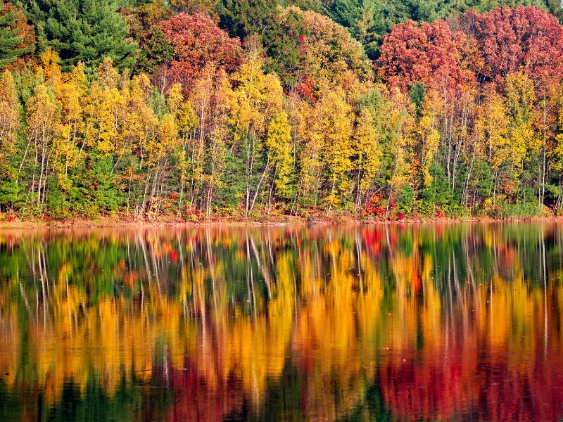 Fall Foliage nel New England, USA