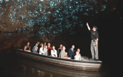 Nuova Zelanda… alla scoperta della grotta di Waitomo