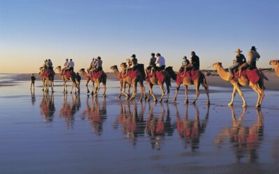 Western Australia: selvaggio, autentico e sconfinato….