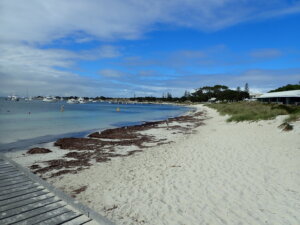 Rottnest Island_Perth_Australia_KiaOraviaggi