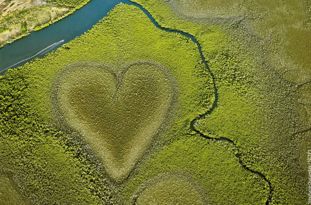 Elisa e il suo viaggio in Nuova Caledonia: una terra ricca di tradizioni e meraviglie naturali