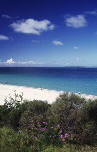  Jervis Bay_australia_kiaoraviaggi