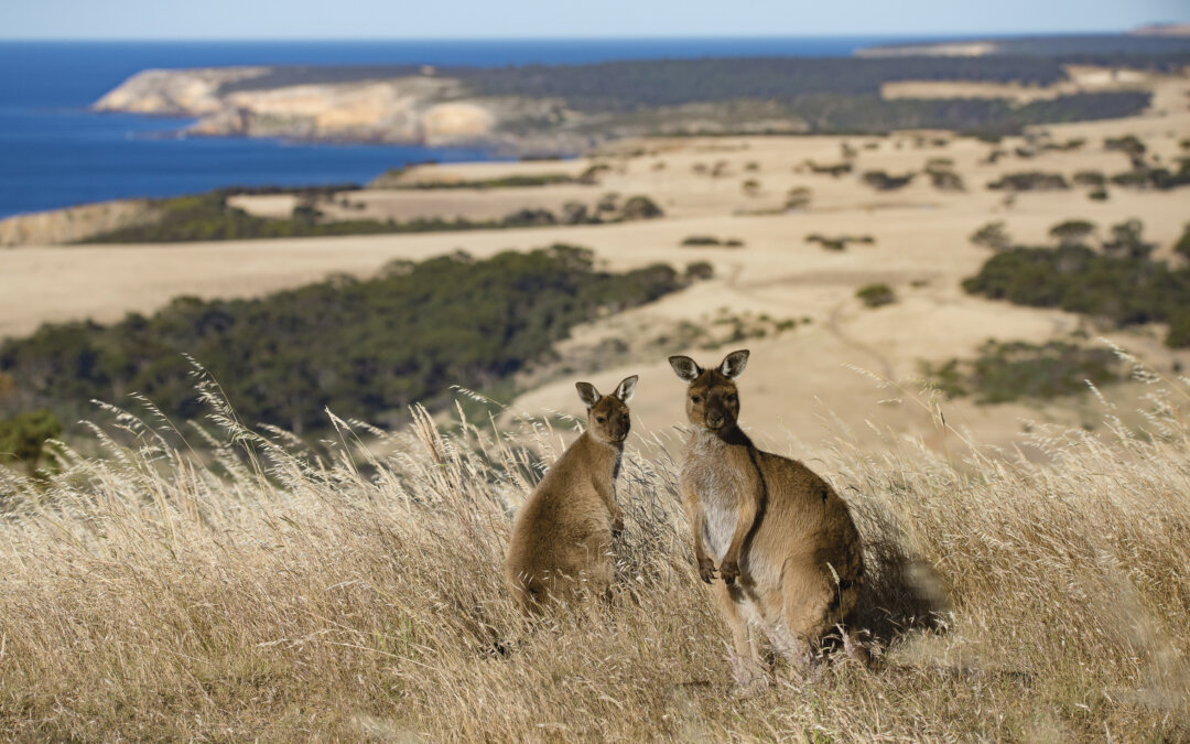 SCOPRI L’AUSTRALIA