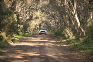 Kangaroo Island_australia_kiaoraviaggi