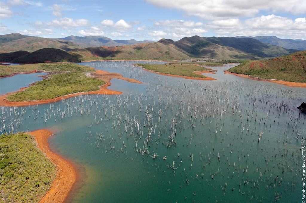 The drowned forest – Blue River Park – Yaté