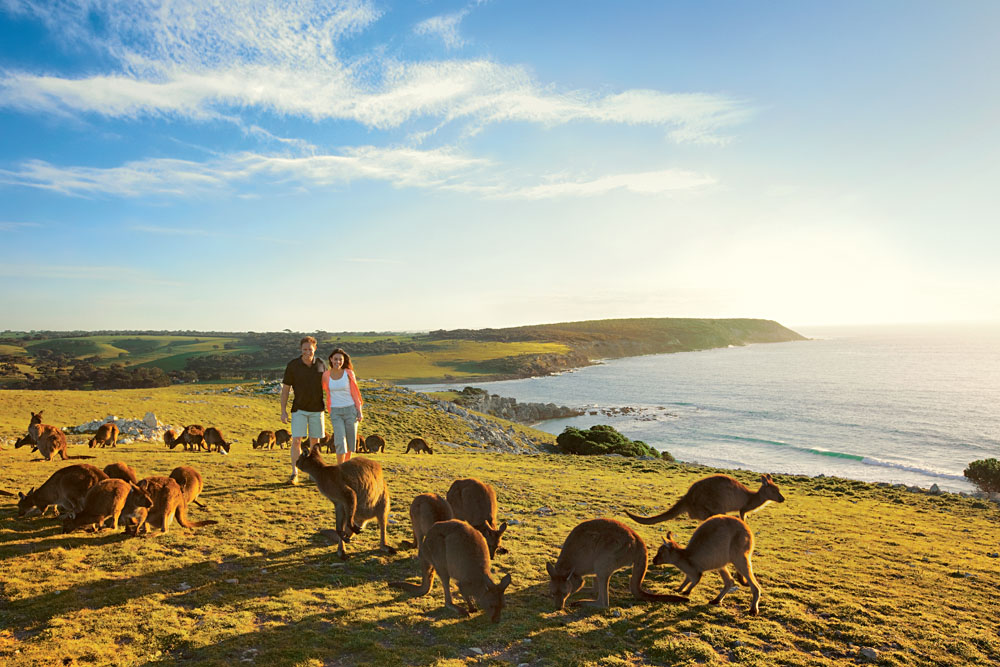 Kangaroo Island