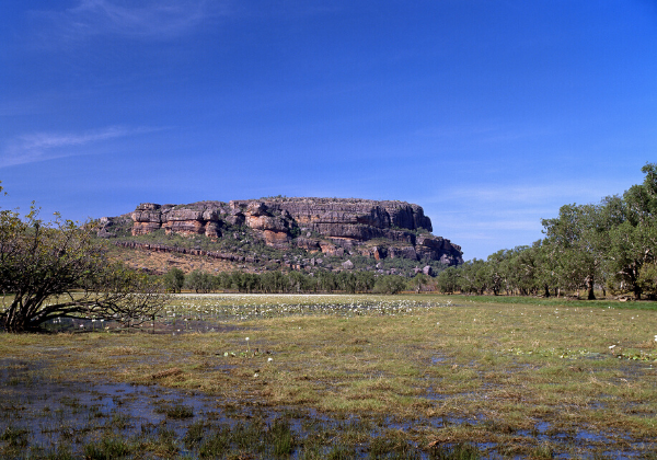 Kakadu National Park fly and drive australia