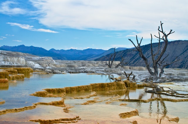 Mammoth Hot Springs Yellowstone trevor-vannoy