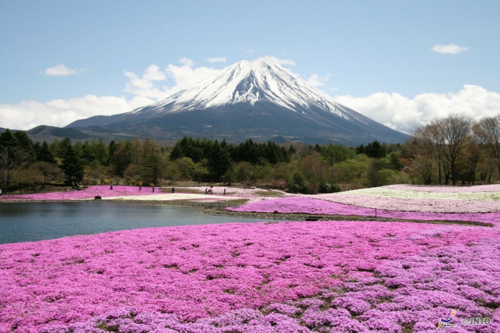 Monte Fuji Giappone