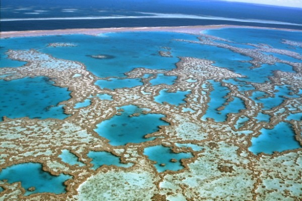 Australia Grande Barriera Corallina Great Barrier Reef Queensland