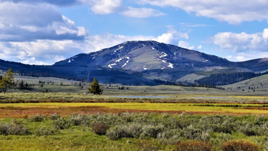 yellowstone pexels-kerry-534398