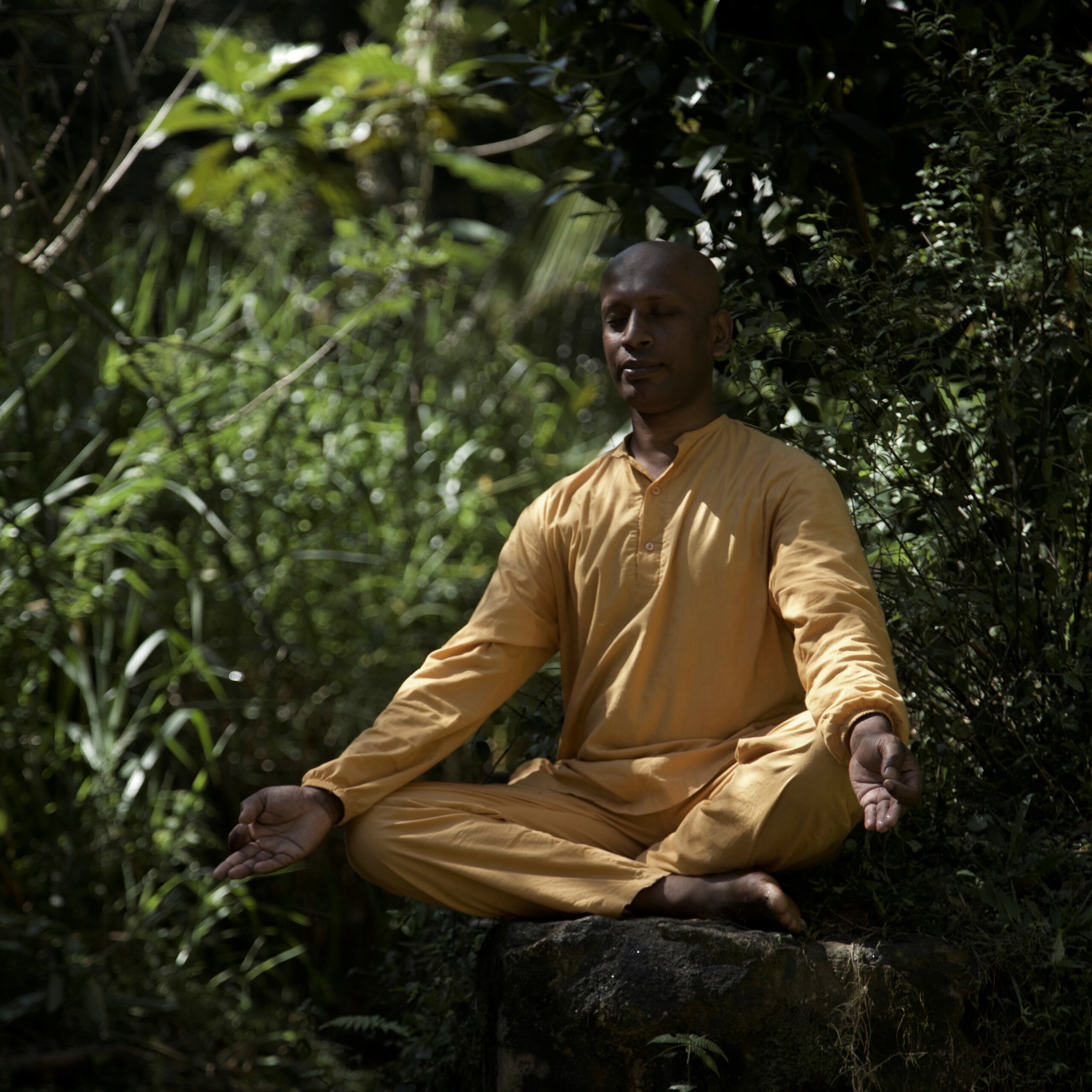 Sri Lanka meditazione