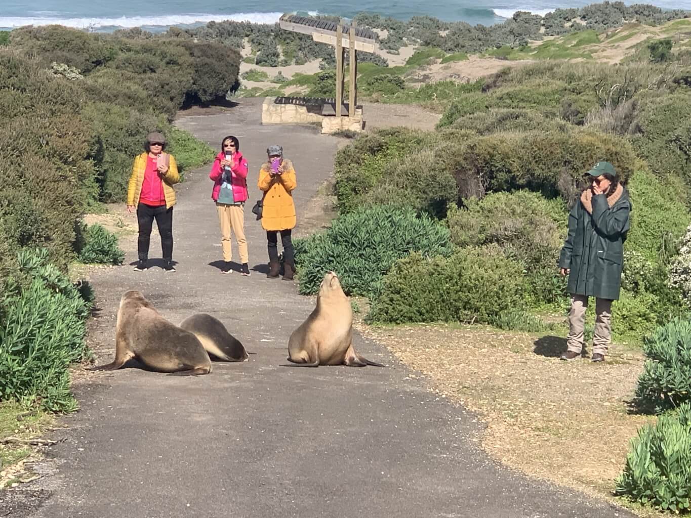 Tour Kangaroo Island Hire a Guide