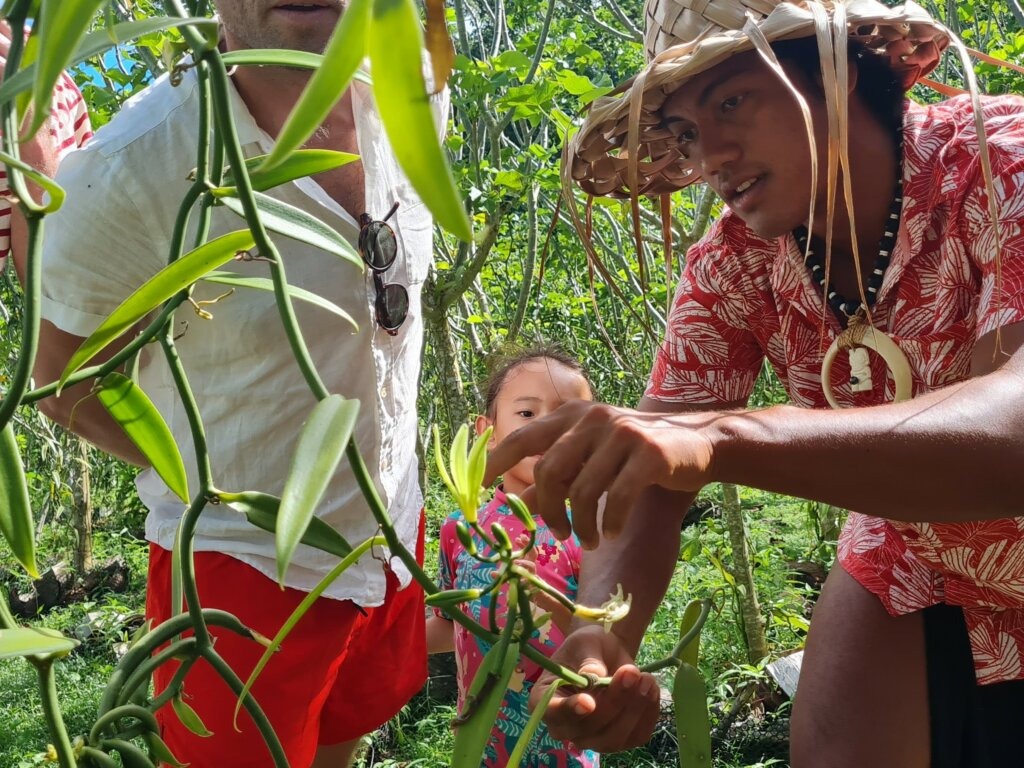 6.ARE Tahaa Boat Tour – Vanilla Plantation (3)