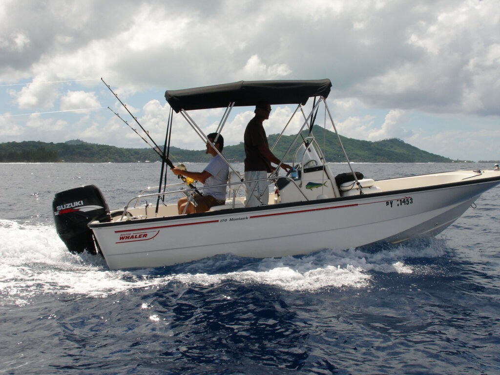 BOB Moana Adv Fishing (6)