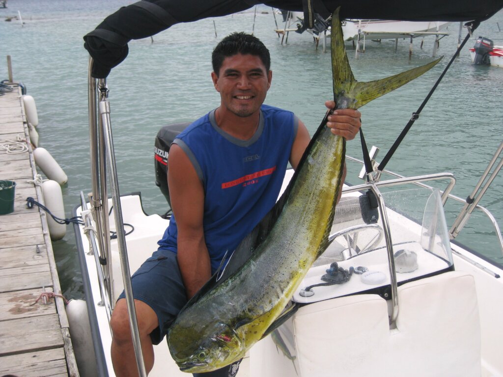 Bora Bora-Lagoon, inshore or deep sea fishing (4)