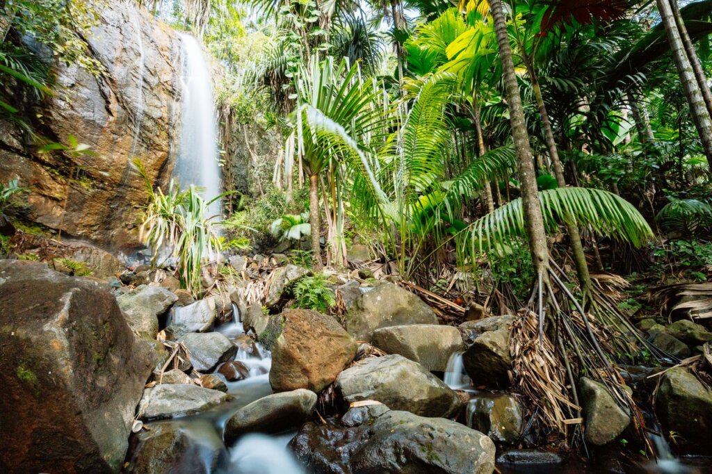 Esc vallée de mai e anse lazio Excursion-Praslin-003