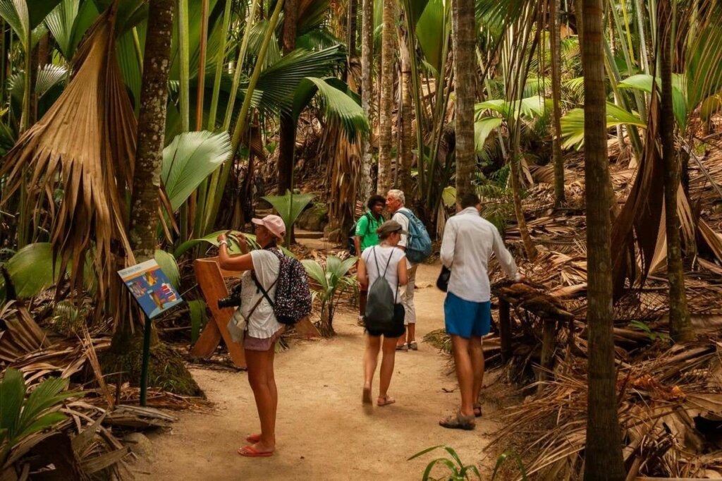 Esc vallée de mai e anse lazio Excursion-Praslin-008