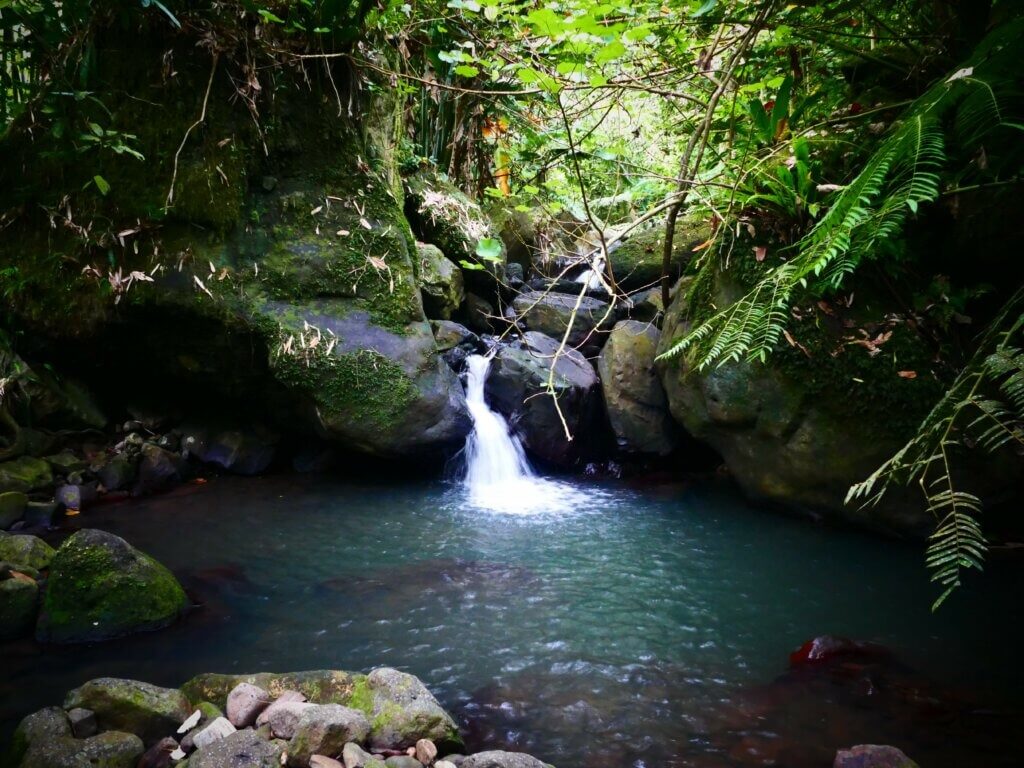 MOZ Hiking Afareaitu Waterfall 76