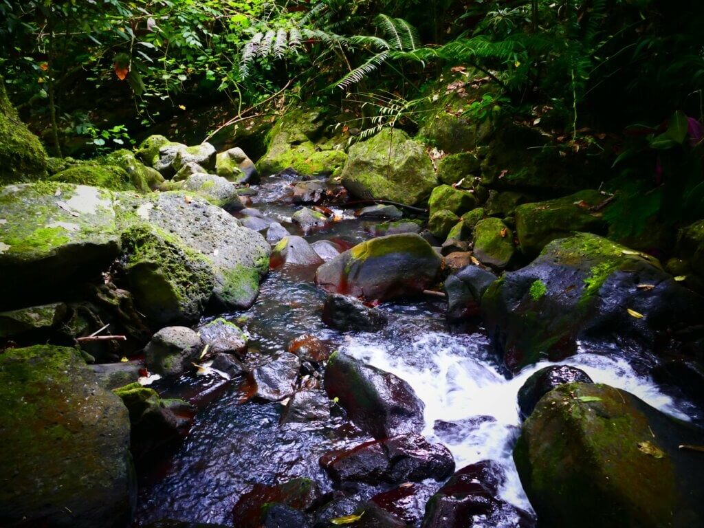 MOZ Hiking Afareaitu Waterfall 77