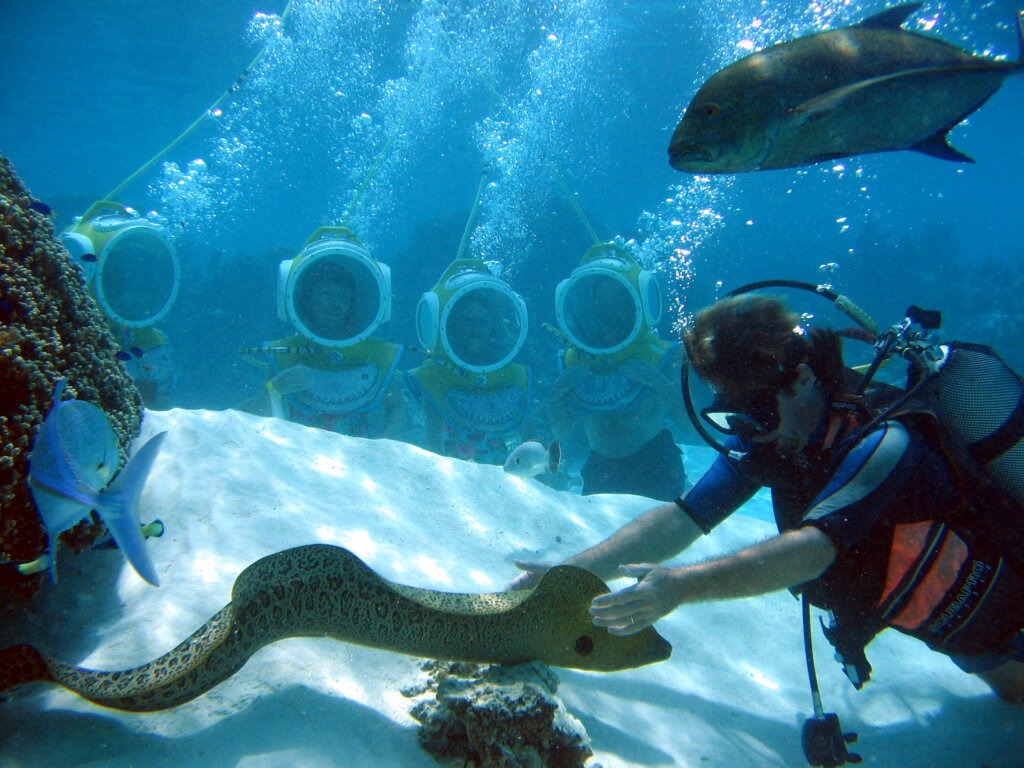 Moorea – Aquablue Exploration (9)
