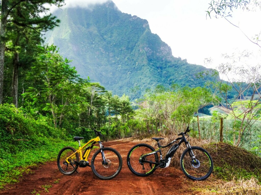 Moorea Belvédère Guided E Bike Tour (4)