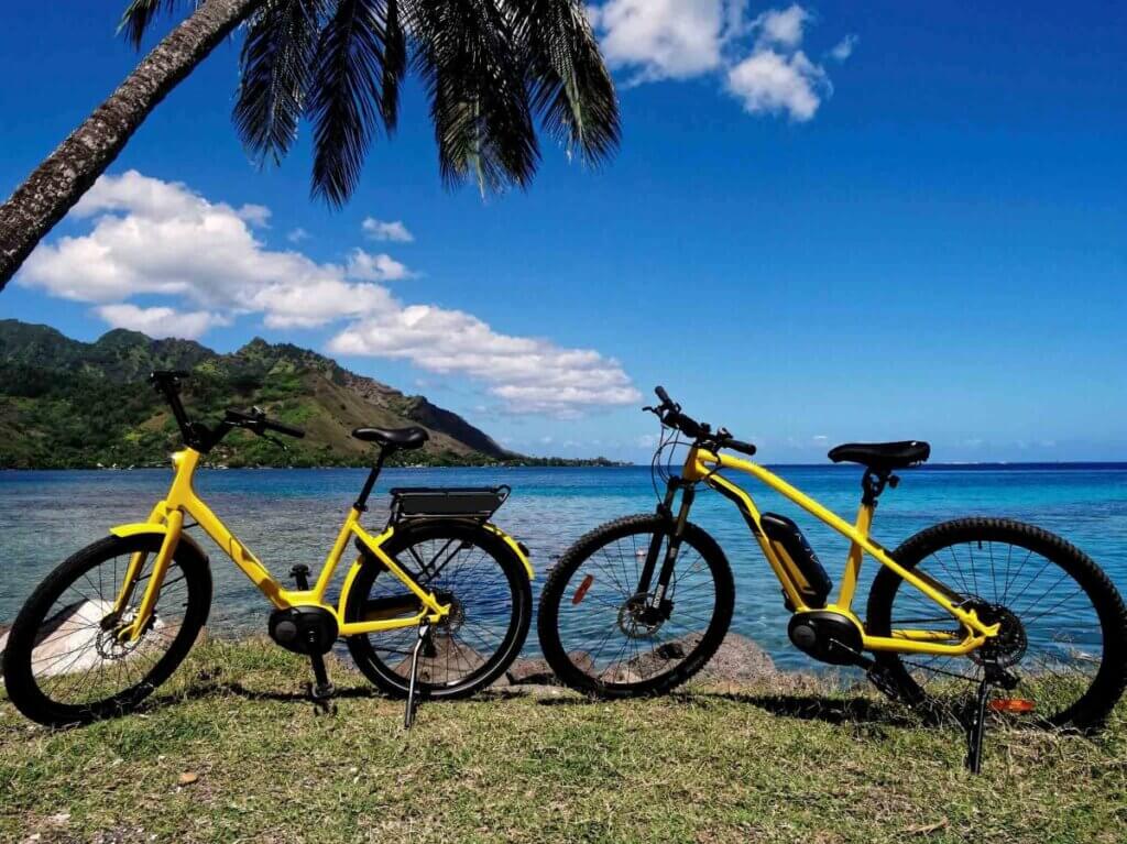 Moorea Belvédère Guided E Bike Tour (6)