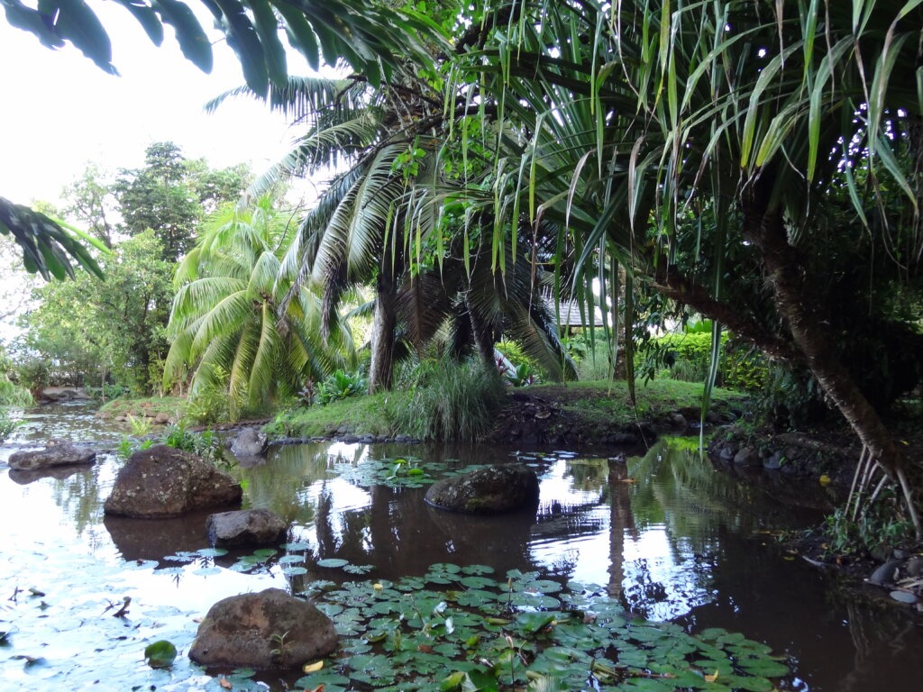 PPT_Tahiti island Tour_Vaipahi Garden.6 (1)