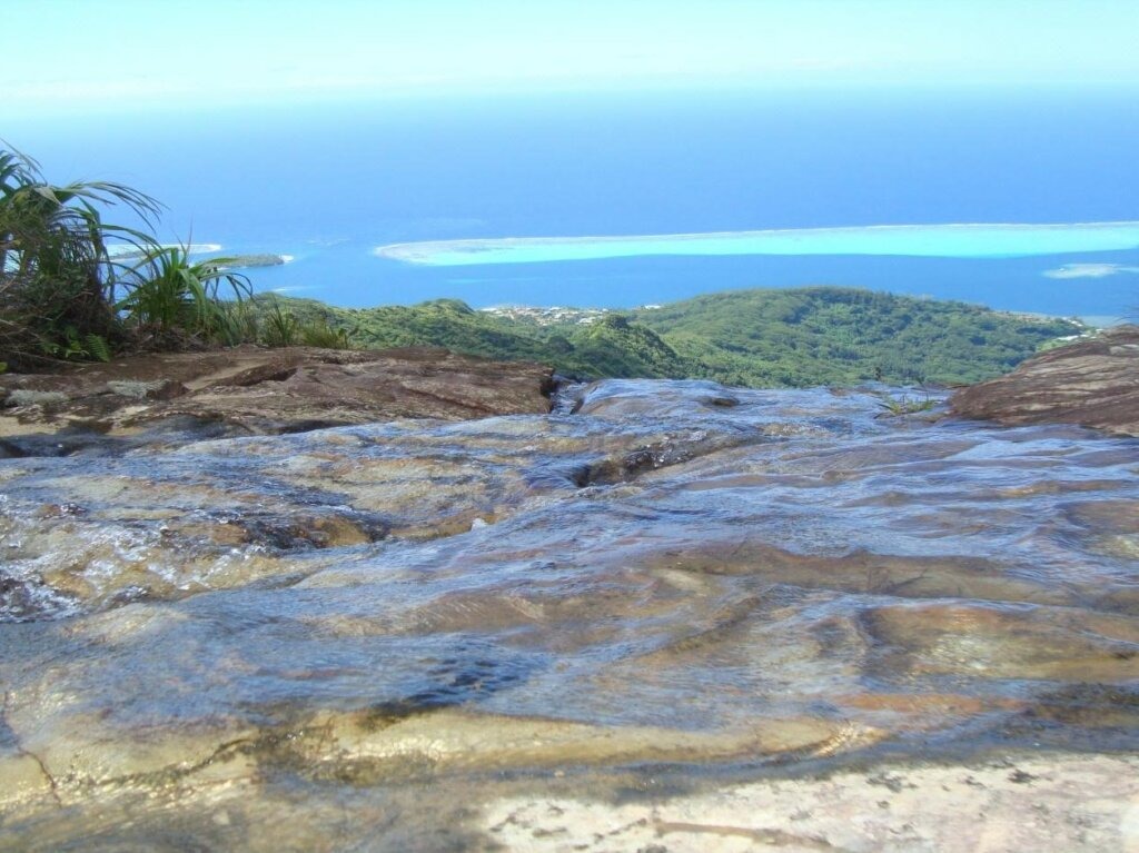 Raiatea – Hiking at Mount Temehani (4)