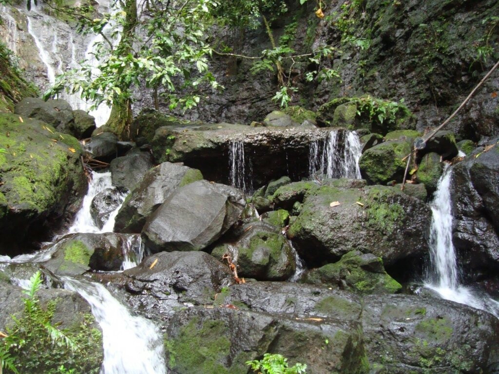 Raiatea – Hiking at the 3 Cascades (1)