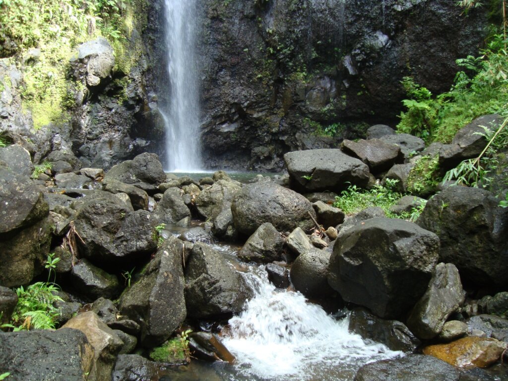 Raiatea – Hiking at the 3 Cascades (4)