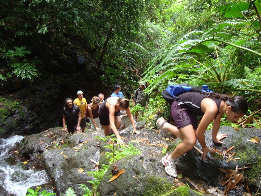 Raiatea – Hiking at the 3 Cascades (5)