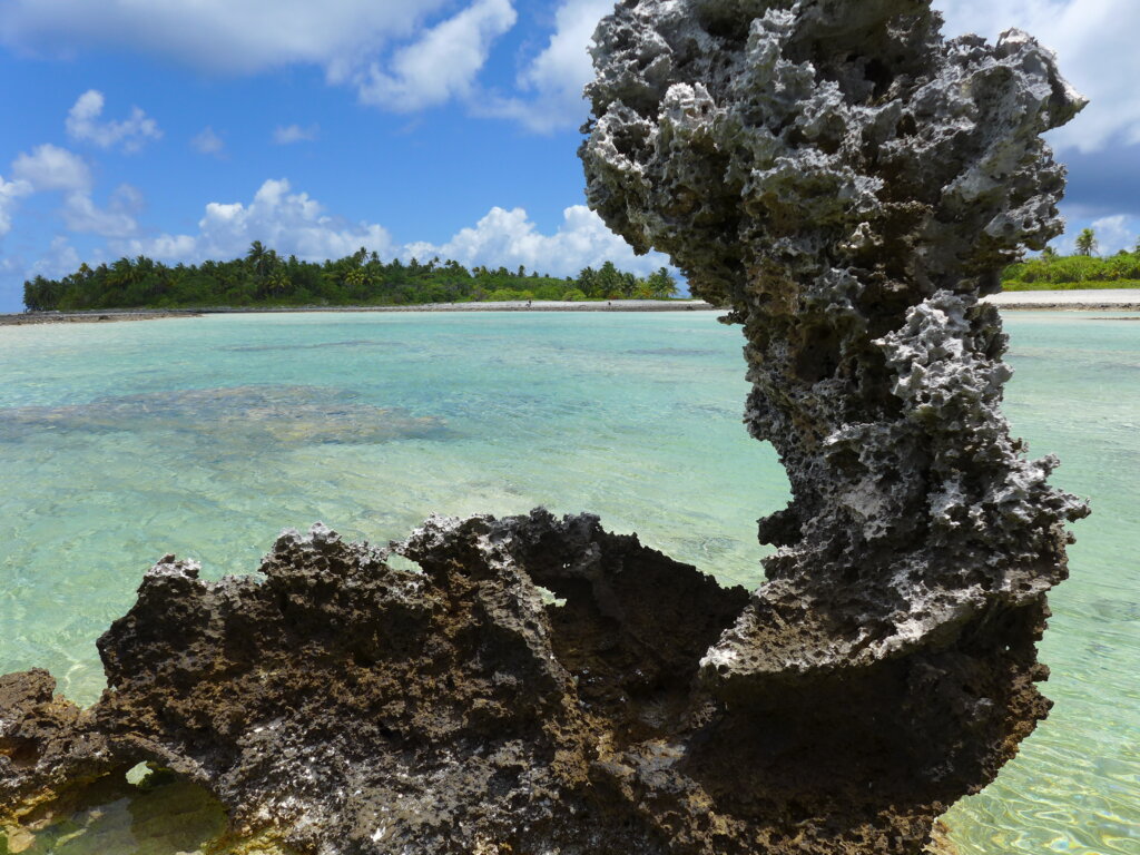 Rangiroa – Discovery of the Reef Island (Motu Lunch included) (1)