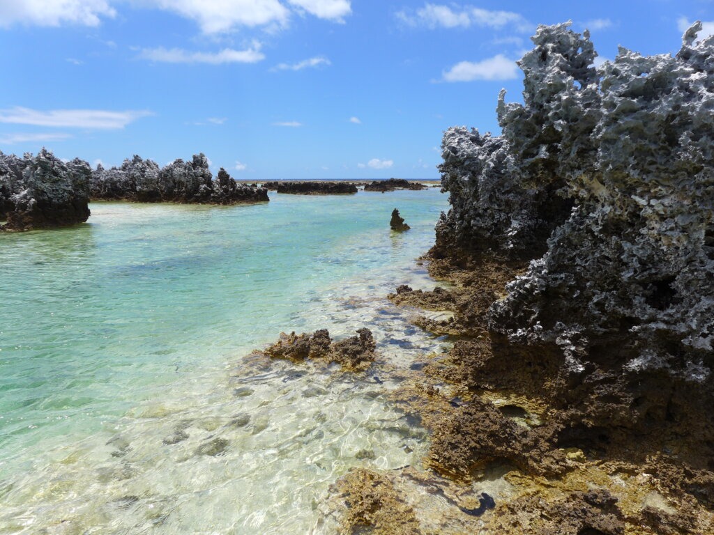 Rangiroa – Discovery of the Reef Island (Motu Lunch included) (2)