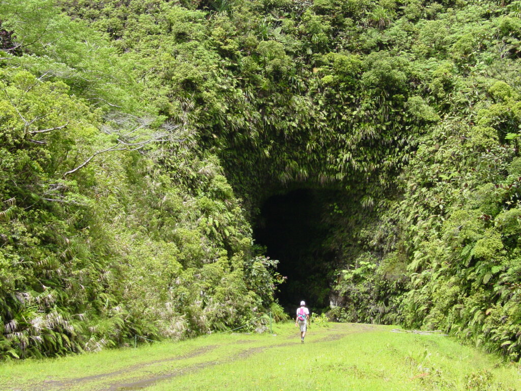 Tahiti-Hiking in the Lavatubes (half and full day) (3)