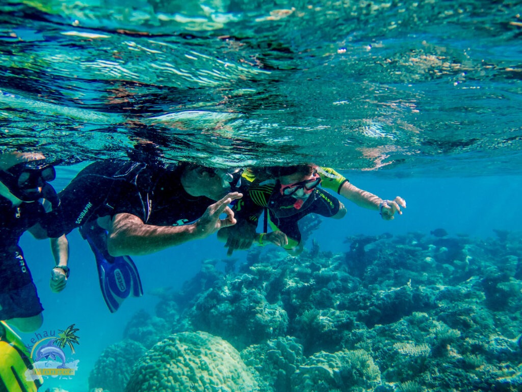 Tikehau Snorkeling Guided Tour 08