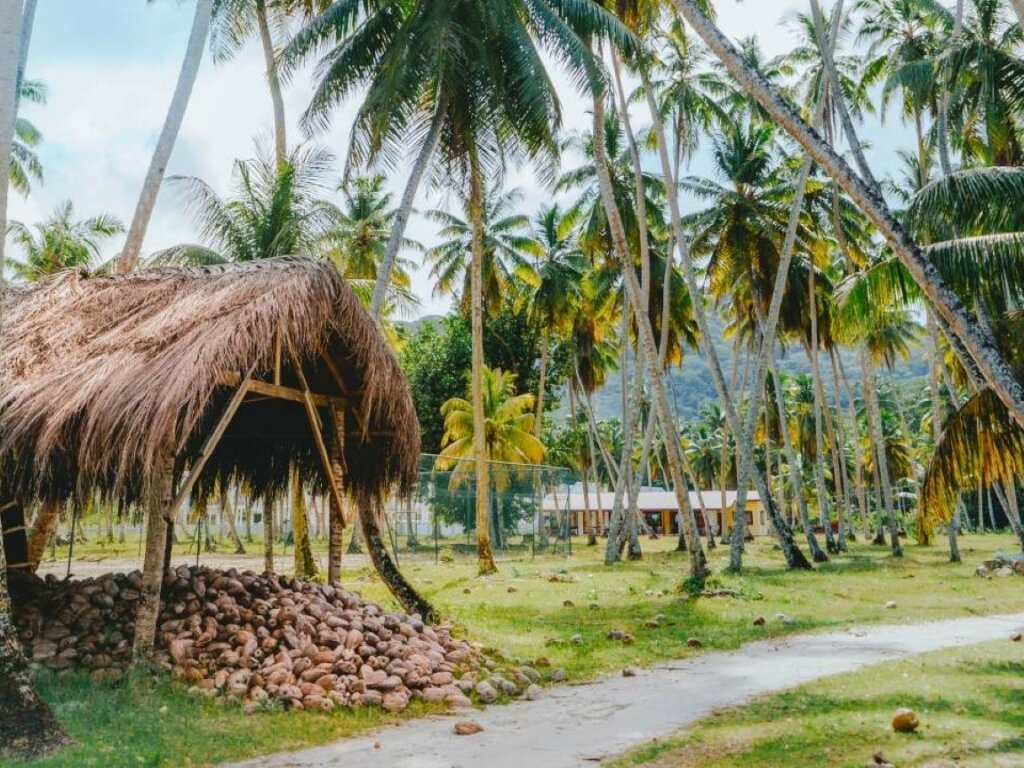 Tour indipendente di La Digue LaDige_MasonsTravel