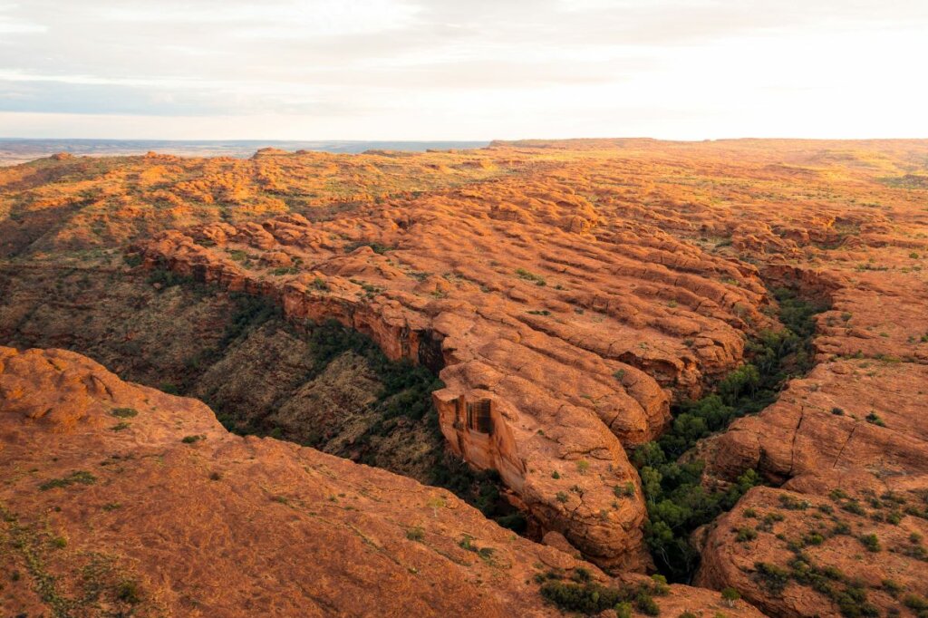 Watarrka/Kings Canyon ©Tourism NT/Plenty of Dust