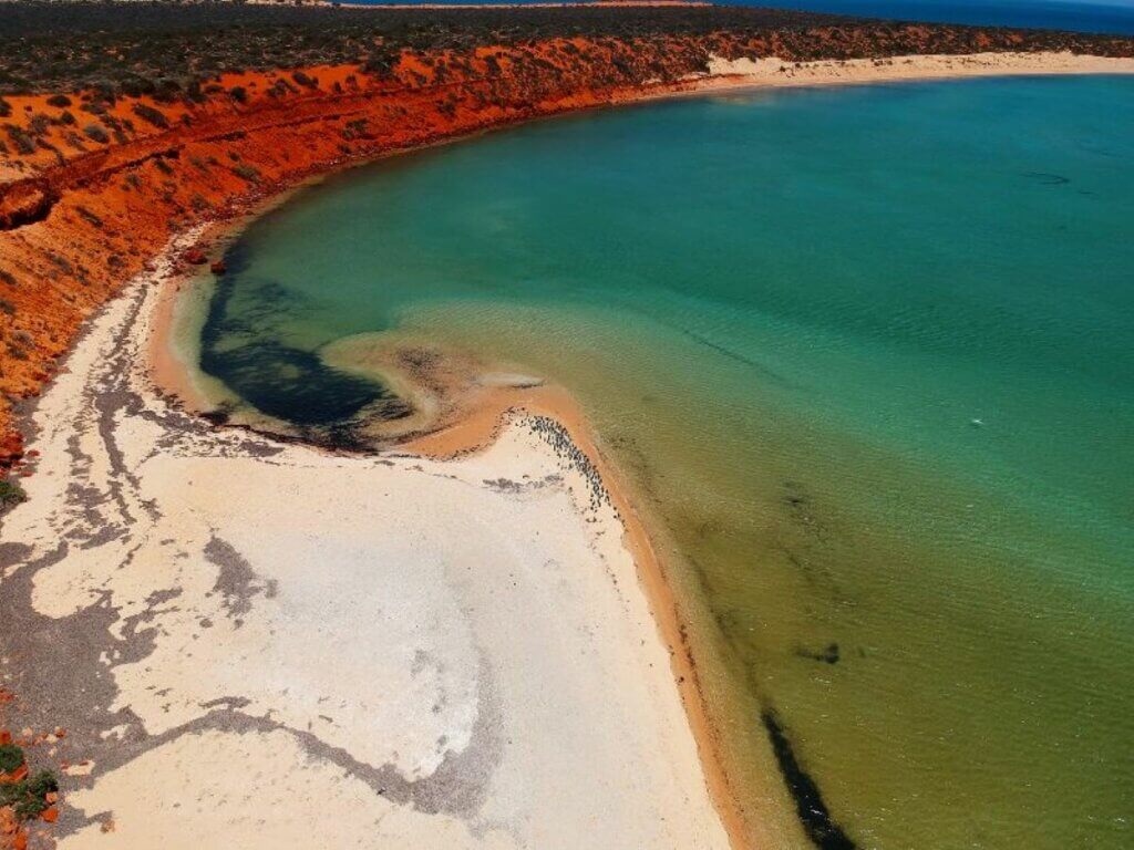 WA Shark Bay