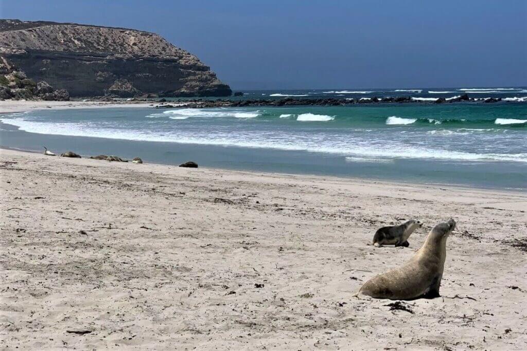 Leoni Marini a Kangaroo Island