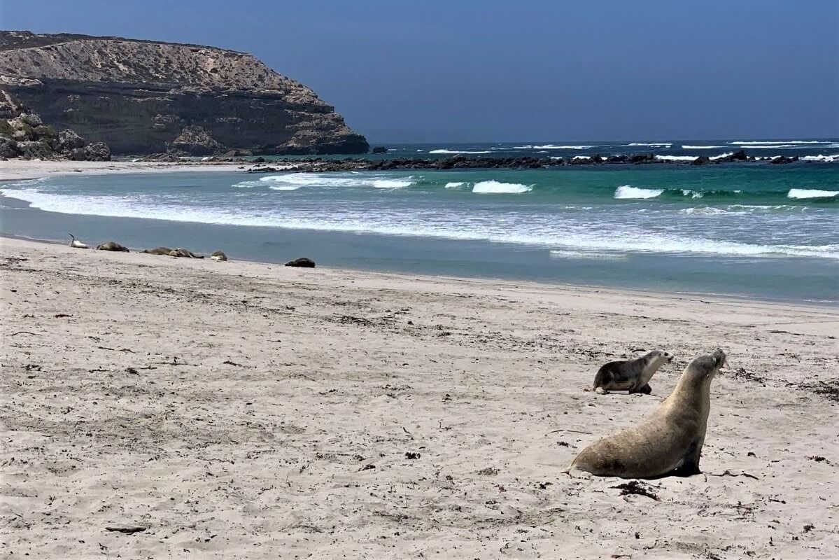 Leoni Marini a Kangaroo Island Seychelles