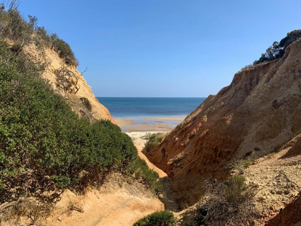 kangaroo island_spiaggia