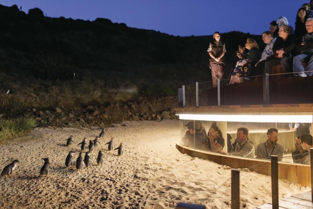 Phillip Island Nature Park, Phillip Island, VIC