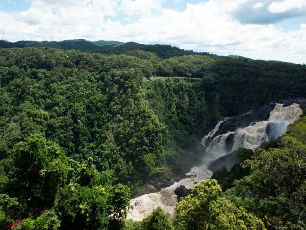 QLD Mossman Gorge Centre