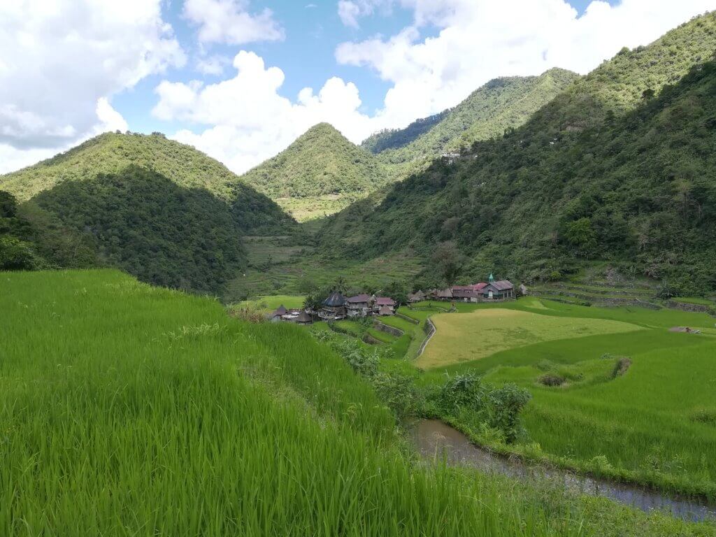 Bangaan-Risaie-Filippine-Luzon