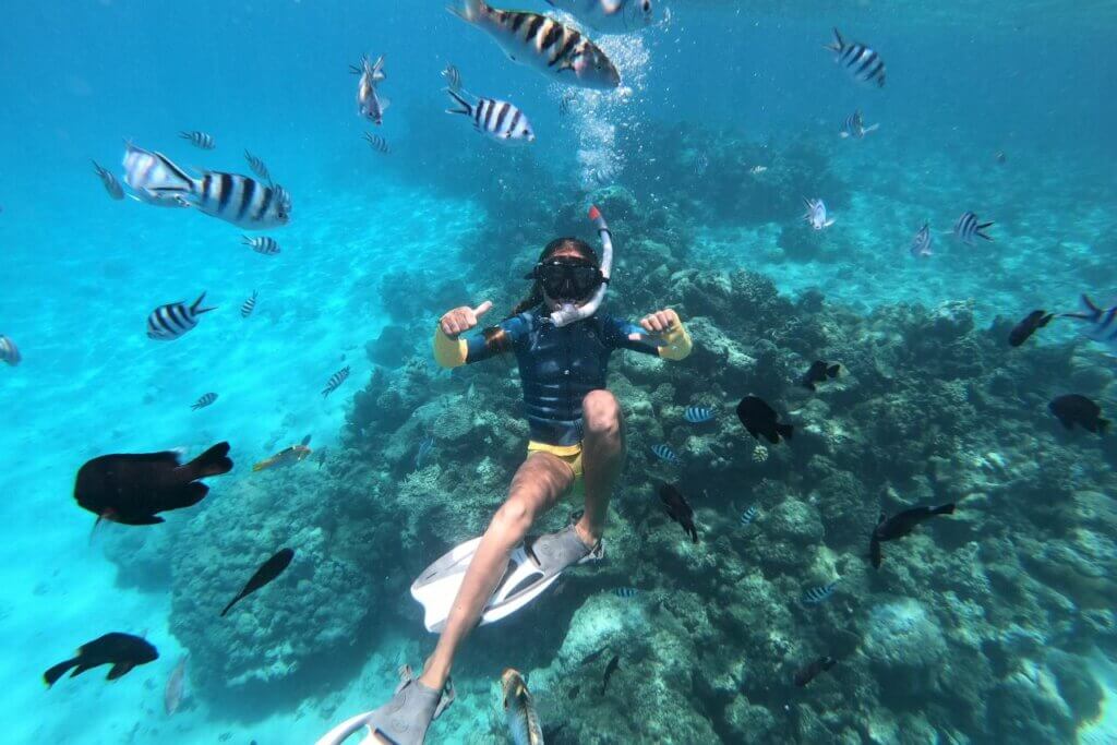 Crociera Snorkelling 5h – 1