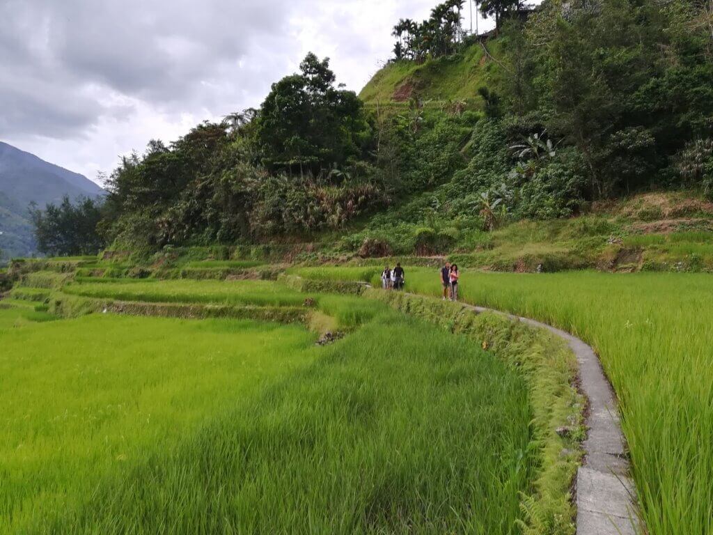 Escursione-Risaie-di-Banaue-Filippine-Luzon